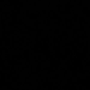 Meet your Posher, Ava